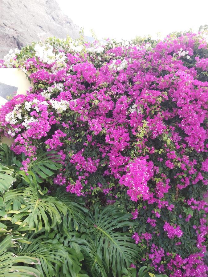 Mi Jardin Villa ฟรอนเตรา ภายนอก รูปภาพ