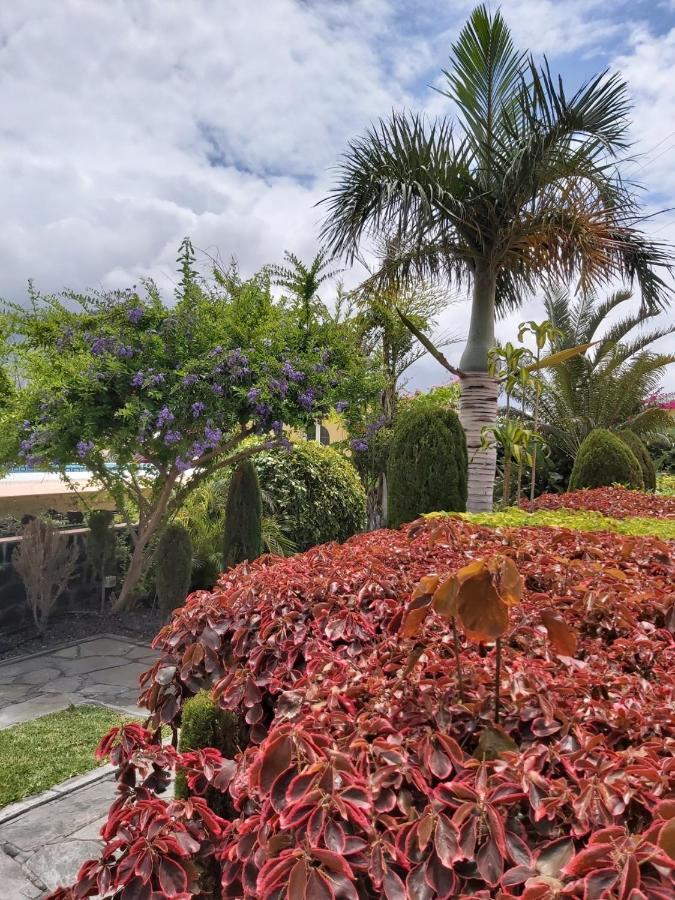 Mi Jardin Villa ฟรอนเตรา ภายนอก รูปภาพ